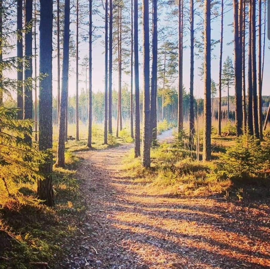 Trevlig Stuga Naera Hovfjaellet Torsby Extérieur photo