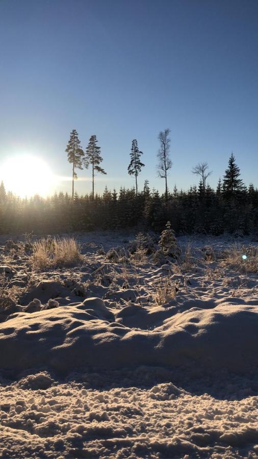 Trevlig Stuga Naera Hovfjaellet Torsby Extérieur photo